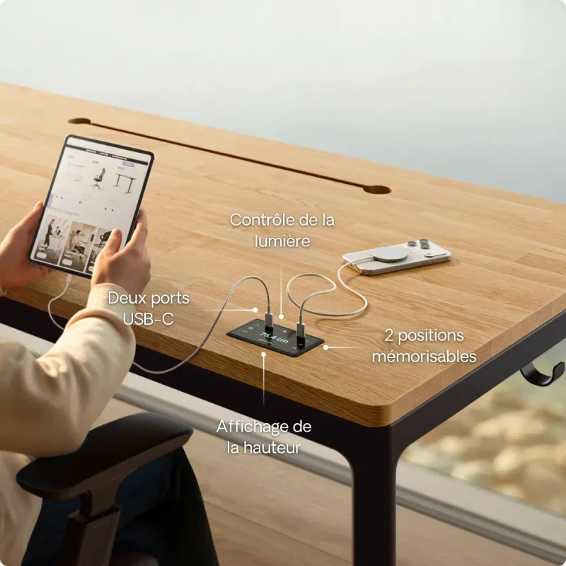 Desktronic HomeMax