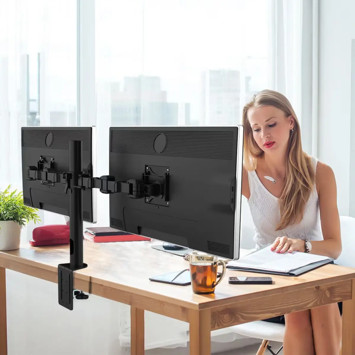 Bras double écran — FlexiSpot D1D