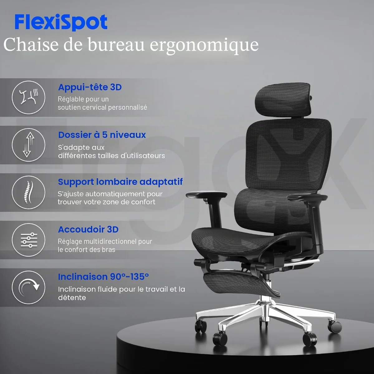 FlexiSpot ErgoX